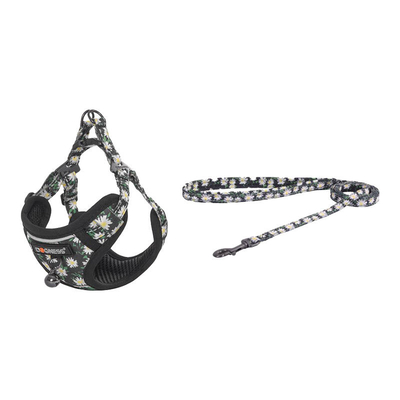 Product Σαμαράκι Dogness Cat set harness and leash 1,5m (Daisy Black) base image