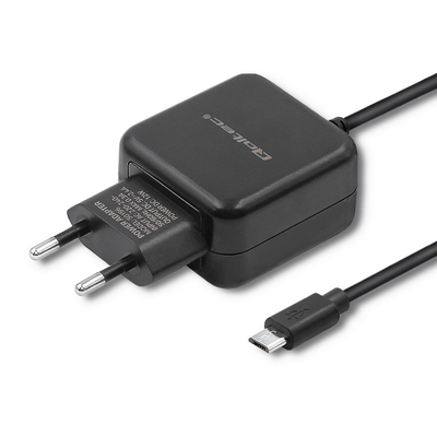 Product Φορτιστής Πρίζας Qoltec 50196 5V | 2.4A | 12W | MicroUSB | Black base image