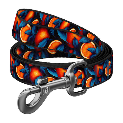Product Λουράκι Σκύλου Nylon pattern ''Oranges'' length 122 cm WauDog base image
