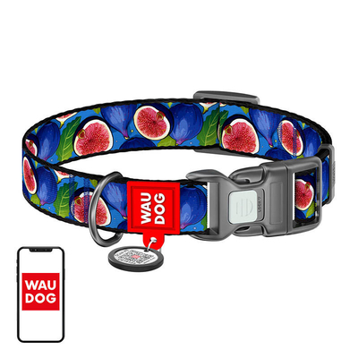 Product Κολάρο Σκύλου WauDog "Fig" nylon with QR code, size XL base image