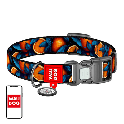 Product Κολάρο Σκύλου WauDog "Oranges" nylon with QR code, size M base image
