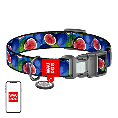 Product Κολλάρο Σκύλου WauDog "Fig" nylon with QR code, size M base image