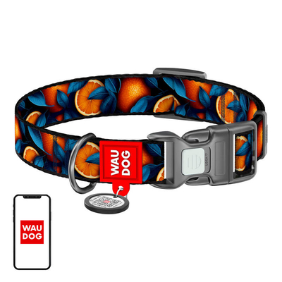 Product Κολλάρο Σκύλου WauDog "Oranges" nylon with QR code, size S base image