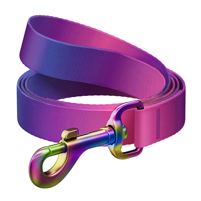 Product Λουρί Σκύλου WauDog gradient nylon 20mm wide, 122cm long, purple base image