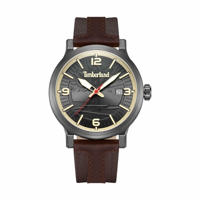 Product Ανδρικό Ρολόι Timberland TDWGN0029104 Γκρι base image