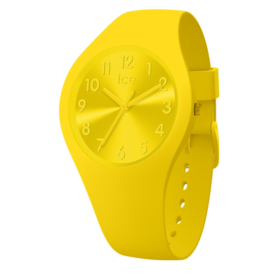 Product Γυναικείο Ρολόι Ice IW017908 (? 36 mm) base image