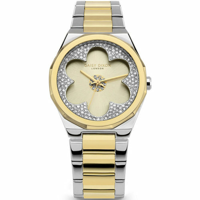 Product Γυναικείο Ρολόι Daisy Dixon DD168SGM (? 36 mm) base image