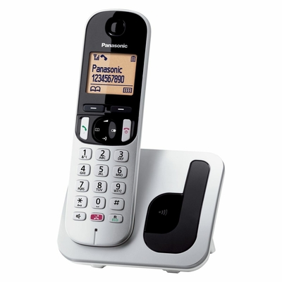 Product Ασύρματο Τηλέφωνο Panasonic KX-TGC250 Γκρι Ασημί base image