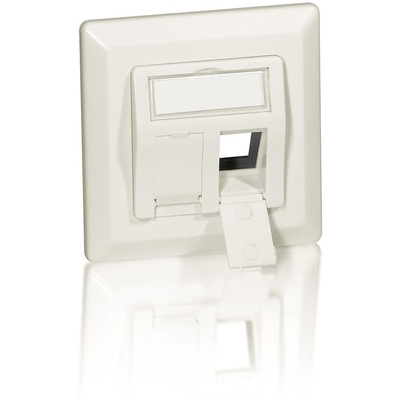 Product Πρίζα Δικτύου Equip box +Frontplatte 2 Keystone 45° RAL 1013 polybag(White) base image
