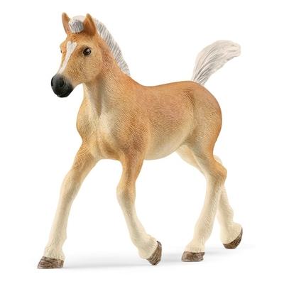 Product Μινιατούρα Schleich Horse Club Haflinger Foal 13951 base image