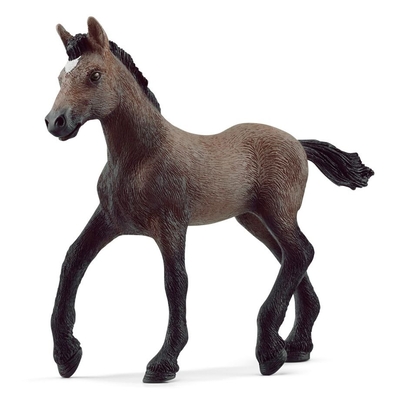 Product Μινιατούρα Schleich Horse Club Peruvian Paso Foal 13954 base image