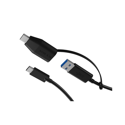 Product Αντάπτορας USB Icy Box USB3.2(Gen2) Type-C to Type A&C 35cm base image