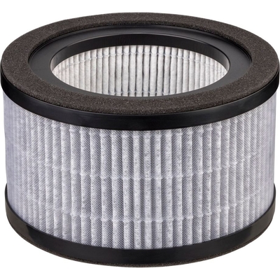 Product Αξεσουάρ Ποιότητας Αέρα Beurer LR 220 Replacement Filter base image