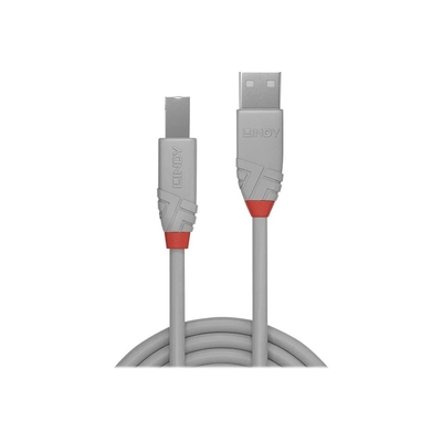 Product Καλώδιο USB Lindy Anthra Line to USB Type B - 1 m Grey base image