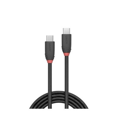 Product Καλώδιο USB Lindy 3.1 Typ C/C 3A Black Line M/M 1m base image