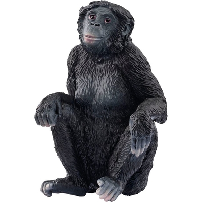 Product Μινιατούρα Schleich Wild Life 14875 Bonobo Female base image