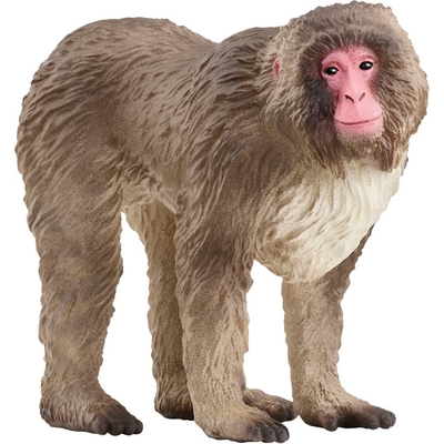 Product Μινιατούρα Schleich Wild Life 14871 Japanese Macaque base image
