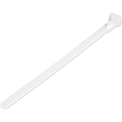 Product Οργανωτής Καλωδίων StarTech 100 pack of RESEALABLE ZIP TIES base image