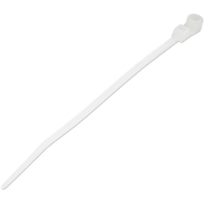 Product Οργανωτής Καλωδίων StarTech 100 pack of PLASTIC ZIP TIES base image