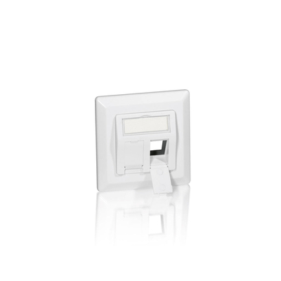 Product Πρίζα Δικτύου Equip +Frontplatte 2 Keystone 45° RAL 9010 polybag base image