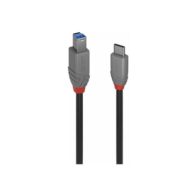 Product Καλώδιο USB-C Lindy Anthra Line 24 pin to USB Type B - 50 cm base image