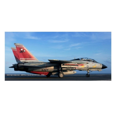 Product Φιγούρα Μοντελισμού F-14d Super Tomcat base image