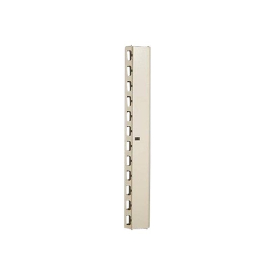 Product Αξεσουάρ για Καμπίνες Δικτύου Δικτύου Digitus cable management channels for 42U base image