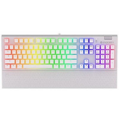 Product Μηχανικό Πληκτρολόγιο Endorfy Omnis OWH P. Kailh BR RGB base image