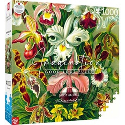 Product Puzzles Imagination Ernst Haeckel Orchid 1000 elements base image