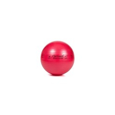 Product Μπάλα Γυμναστικής MDH ABS rehabilitation ball with pump 55cm base image