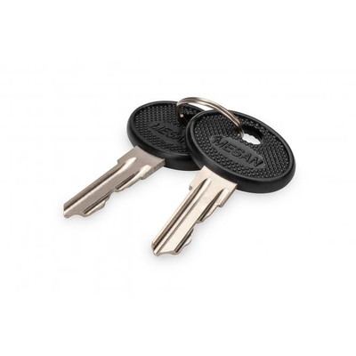 Product Αξεσουάρ για Καμπίνα Δικτύου Digitus Replacement key Varioflex-N, Unique base image