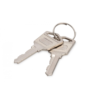 Product Αξεσουάρ Δικτύου Digitus Key for Charging Cabinets base image