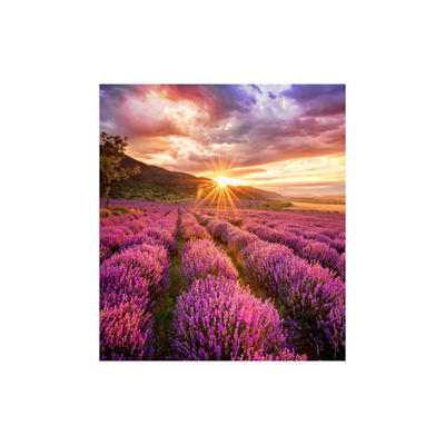 Product Videowall Samsung LH025IFHBAS/EN LED 50-60 Hz base image