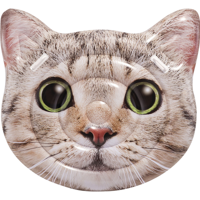 Product Φουσκωτό Στρώμα Θαλάσσης Intex Curious Cat Island base image