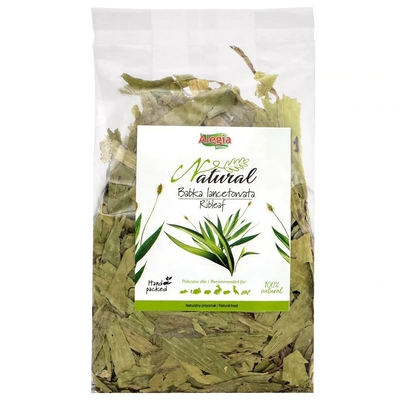 Product Snacks Alegia Ribleaf base image