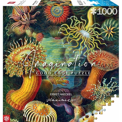 Product Παζλ Cenega Publishing Ernst Haeckel Criaturas marinas 1000 Τεμάχια base image