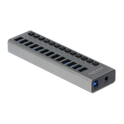 Product USB Hub Delock 13x με διακόπτες 63738, USB 3.0, 5Gbps, LED, γκρι base image