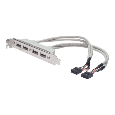 Product Καλώδιο Digitius USB-console - 10 PIN IDC to USB - 25 cm base image