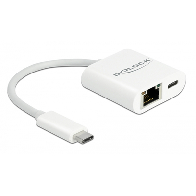 Product Αντάπτορας Δικτύου USB Delock -C σε RJ45 + USB-C 65402, 1000Mbps, 12cm, λευκός base image