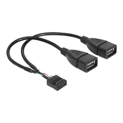 Product Καλώδιο USB DeLock intern to extern - to 9-pin USB-Header - 20 cm base image