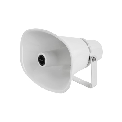 Product Κόρνα DM 30W 10" base image