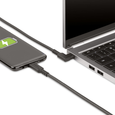 Product Καλώδιο USB-C StarTech RUSB31CC1MBR Μαύρο 1 m base image