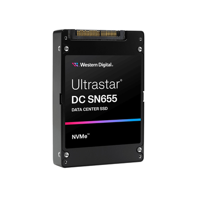 Product Σκληρός Δίσκος SSD Western Digital 0TS2462 3,84 TB base image