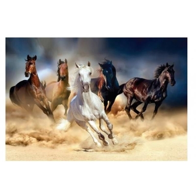 Product Παιδικές Χειροτεχνίες Norimpex Diamond Mosaic - Horses at a gallop base image