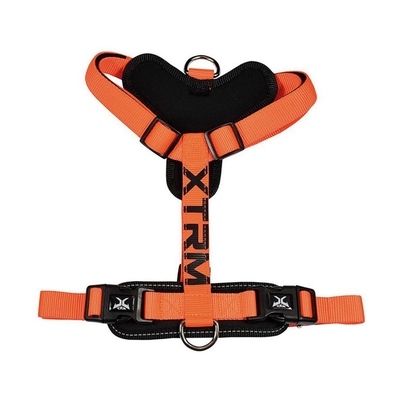 Product Λουρί για κατοικίδια Nayeco x-trm Πορτοκαλί (35-60 cm) base image
