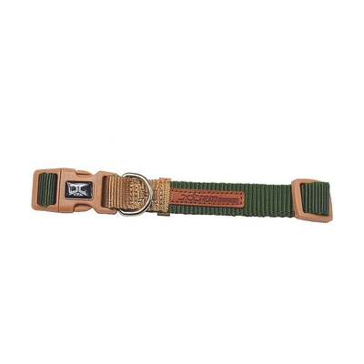 Product Κολλάρο Σκύλου Nayeco 48-66 x 2,5 cm Μπεζ Πράσινο base image