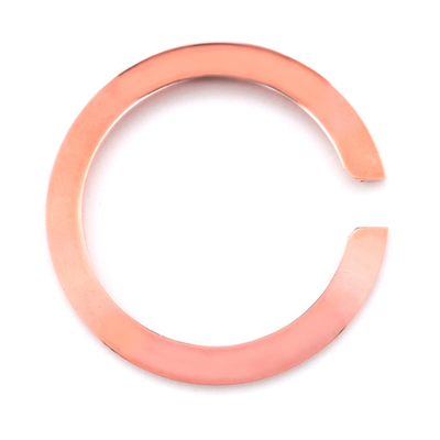 Product Bezel για το Ρολόι Glam Rock GC2203GR base image
