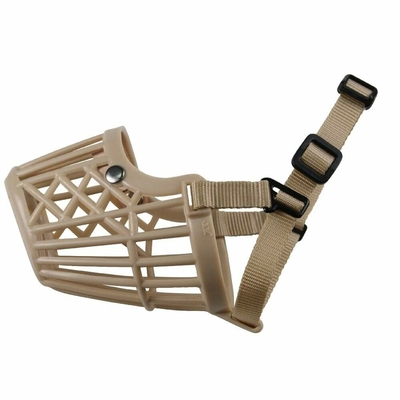 Product Ρύγχος Gloria Μπεζ Πλαστική ύλη Μέγεθος 2 base image
