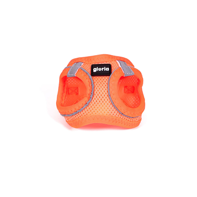 Product Λουρί Σκύλου Gloria Trek Star 24-26 cm 28-28,6 cm Πορτοκαλί XXS base image