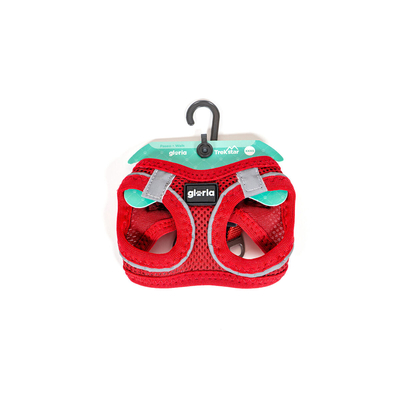 Product Λουρί Σκύλου Gloria Trek Star 29,4-32,6 cm 41,4-43 cm Κόκκινο S base image